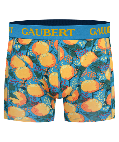 Gaubert Heren Boxershort Bamboe Premium BMB-027