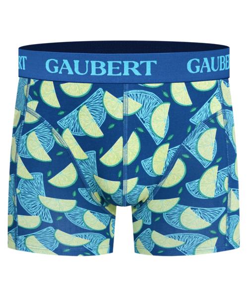 Gaubert Heren Boxershort Bamboe Premium BMB-028