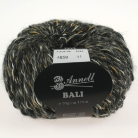BALI 4859