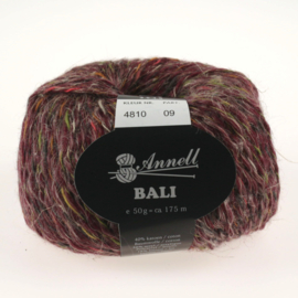 BALI 4810