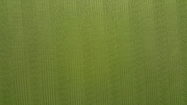 Groene tricot gestreept met motief