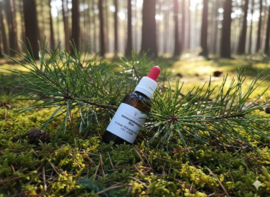 Dennennaalden tinctuur 30 ml