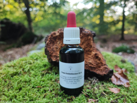 Chaga dubbeltinctuur 30 ml