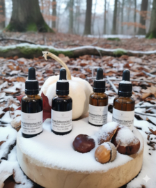 Winter Weerstandpakket