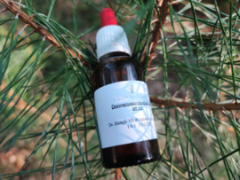 Dennennaalden tinctuur 30 ml