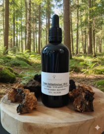 Chaga Dubbeltinctuur 100 ml