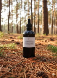 Dennennaalden tinctuur 100 ml