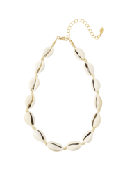 Ketting- Schelpjes 'goud'