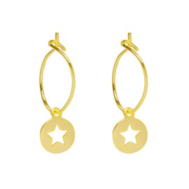 Oorbellen- Twinkle Star 'goud'