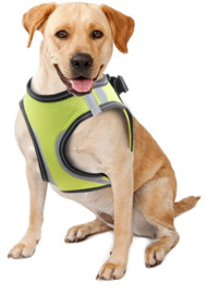 Doggy Safety Harness