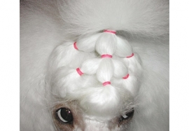 Show Tech Medium (8mm) latex Top Knot elastiekjes voor honden (1000 stuks) roze