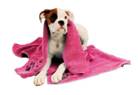 Show Tech+ Microfibre Handdoek met Broderie 56x90cm Handdoek Voor Honden En Katten