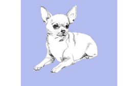 dutch Hero's Vet Bed Chihuahua (blauw), anti-slip