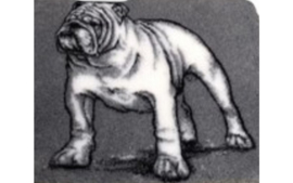 dutch Hero's Vet Bed Bulldog, anti-slip
