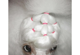 Latex Top Knot elastiekjes medium (8 mm) voor honden roze