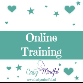 Baby Mindful Online Training