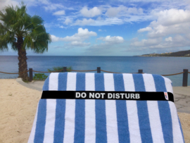 Do Not Disturb