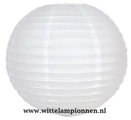 Witte lampionnen 15 cm
