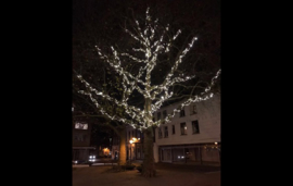 Kerstverlichting koppelbaar voor buiten helder wit - 100 led lampjes