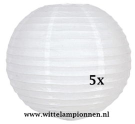 Lampion wit rijstpapier 20 cm - 5 stuks