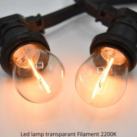 Filament ledlamp voor rotan lampenkapjes - 2200K