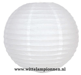 Witte lampionnen 20 cm