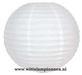 Witte lampionnen 50 cm