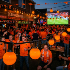 Oranje WK lampen in je prikkabel - 10 stuks