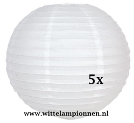 Lampion wit rijstpapier 65 cm - 5 stuks