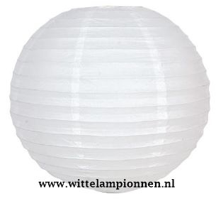 Behoefte aan Aanbevolen bijkeuken Witte lampion 50 cm rijstpapier | Wittelampionnen