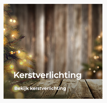 Kerstverlichting voor buiten kopen wittelampionnen