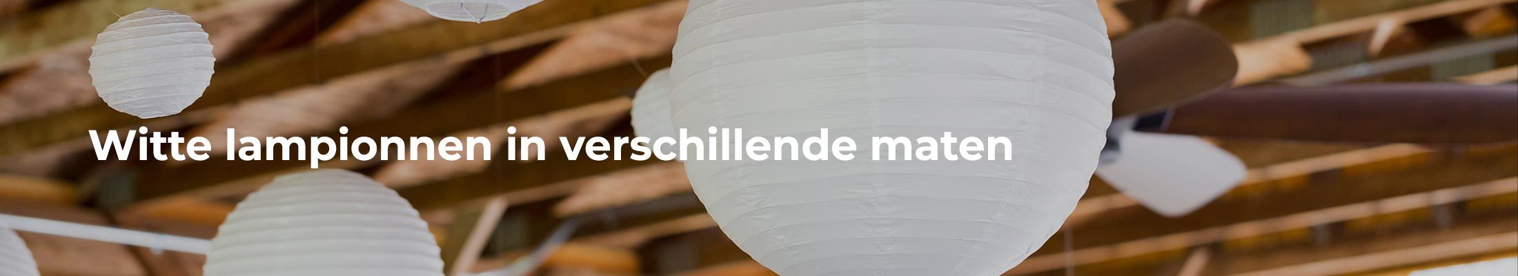 Witte lampionnen kopen