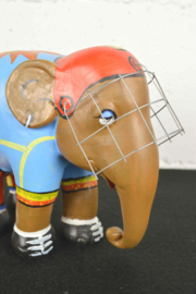 football olifant