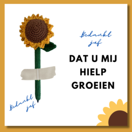 Bloempotje / pen / rammelaar (PDF)