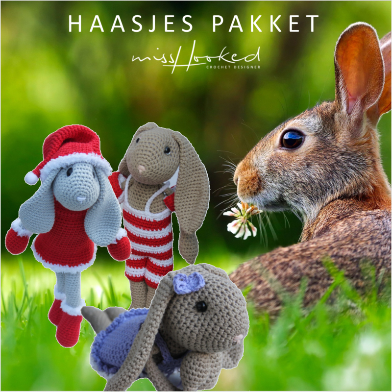 Paashaas - Flappie - Beach Bunny (PDF)
