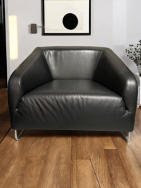 Artifort Diva fauteuil