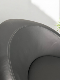 Artifort Hanna fauteuil
