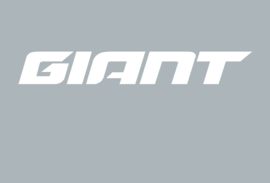 GIANT