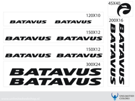 Batavus stickers