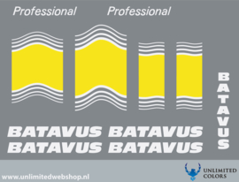 Batavus Professional 3