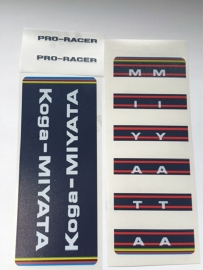 Koga Miyata pro racer 1