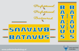 Batavus Professional 1