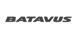 Batavus