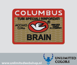 42. Columbus BRAIN