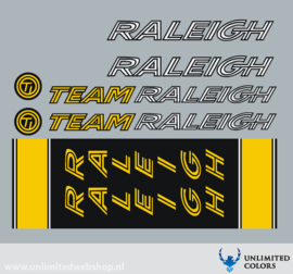 Team Raleigh
