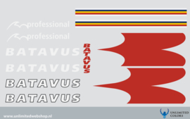 Batavus Professional 2