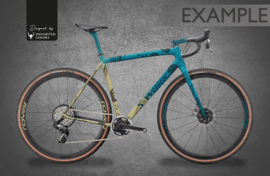 Custom bicycle design