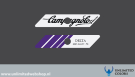 Campagnolo delta decals