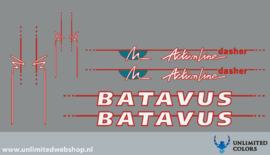 Batavus Action Line Dasher stickers