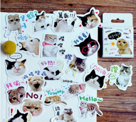 Katten en tekst stickerdoosje